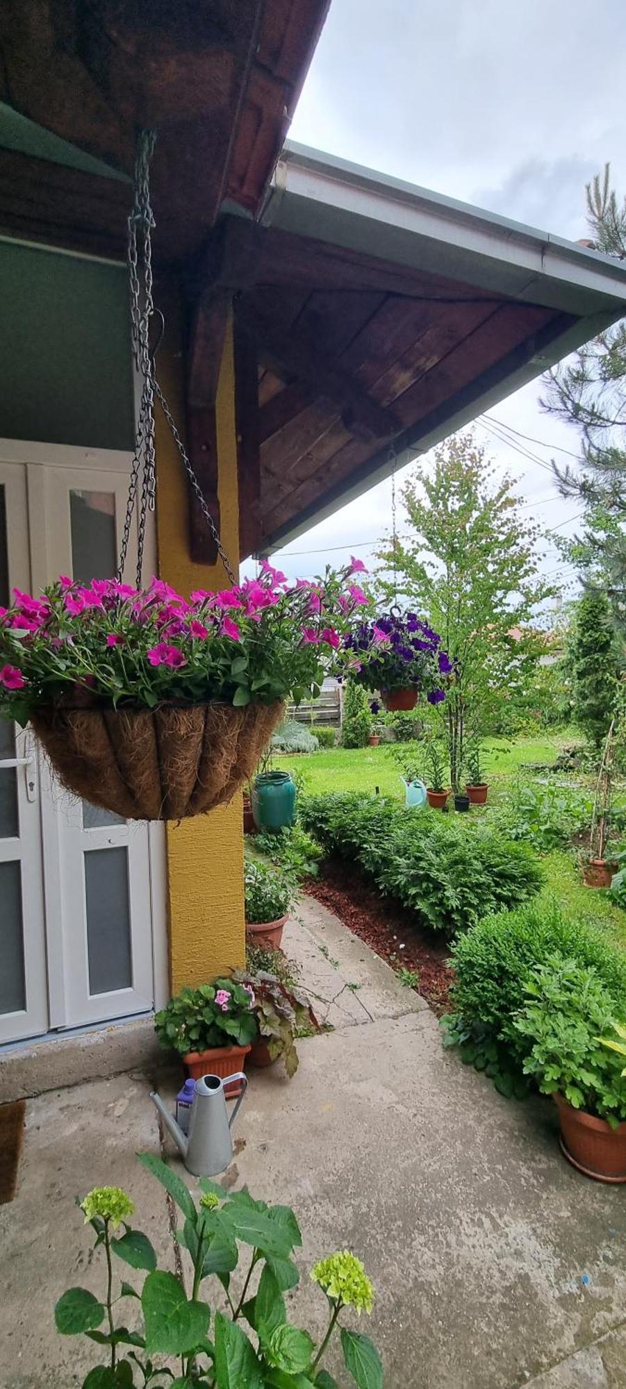 Natura Apartment Belgrad Exterior foto